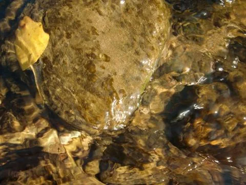 Water river Stock Photos