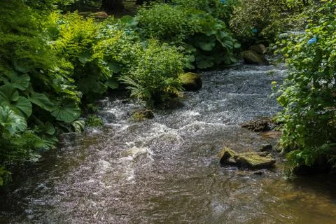 Water in a river Stock Photos