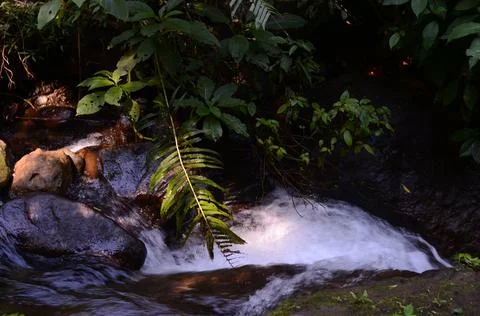Water river Stock Photos