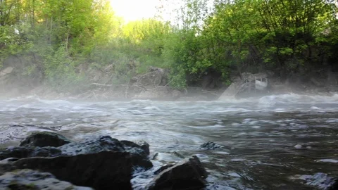 The water in the river runs swiftly through the rocks. Early sunny morning. Stock Footage 93389389