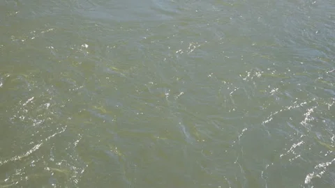 The water in the river is in slow motion. Stock Footage 88989041