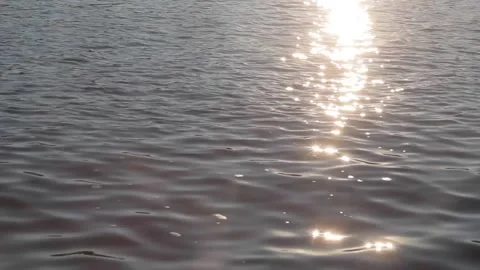 Water in river with small waves and sunlight reflection Stock Footage 177106142