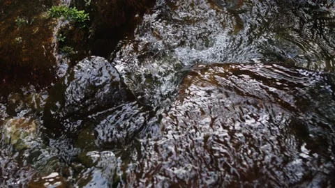 Water River Stream on big wet stones overgrown with moss. Pure drinking water Stock Footage 208890545