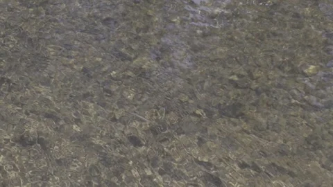 Water River Stream Overfall Bottom Gravel Stones Day 2026 b Stock Footage 341479142