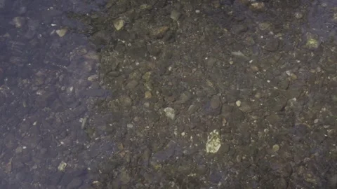 Water River Stream Overfall Bottom Gravel Stones Day 2026 d Stock Footage 341479144