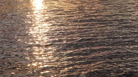 Water in the river at sunset, natural background Stock Footage 81204211