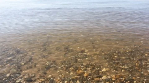 Water in the river at sunset, natural background, Ob River Stock Footage 81235897