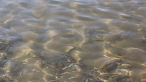 Water in the river at sunset, natural background Stock Footage 81237548