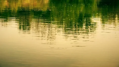 Water river surface moving with small waves in the wind Stock Footage 75667166