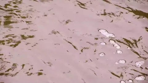 Water River Texture Stock Footage 79502564