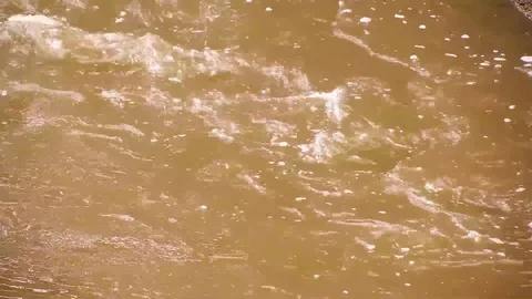 Water River Texture Stock Footage 79502566