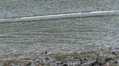 Water on a road (1) Stock Footage 12742344