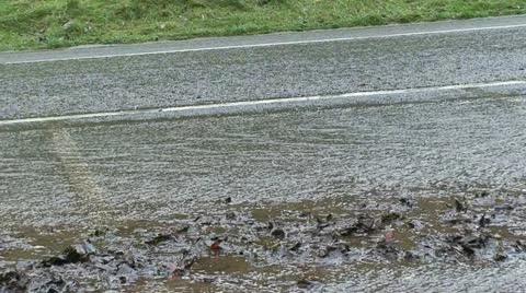 Water on a road (3) Stock Footage 12763277
