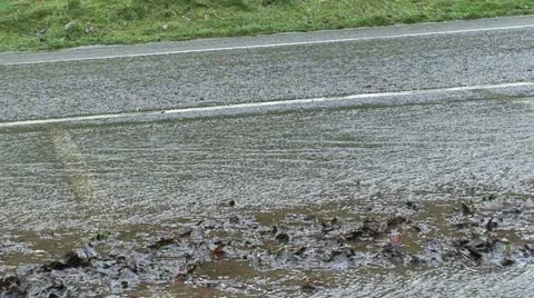 Water on a road (4) Stock Footage 12763149