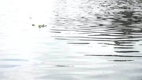 Water roars Stock Footage 250932212