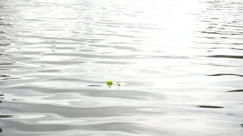 Water roars Stock Footage 250932245