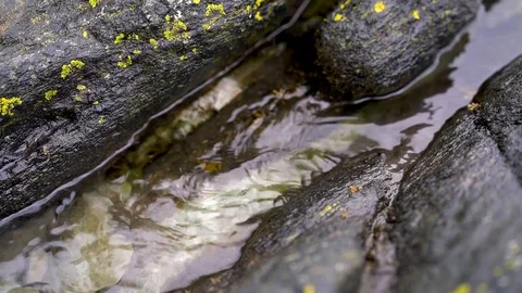 Water in a rock pool Stock Footage 129251339