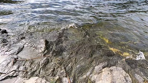 Water Rocks Stock Footage 163094773