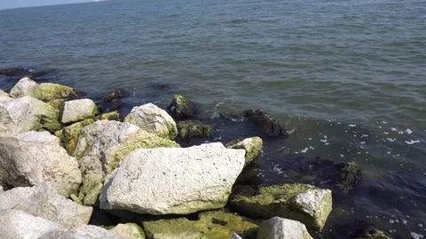 Water on Rocks Stock Footage 281601824
