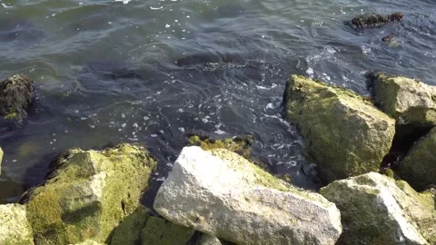 Water on Rocks Stock Footage 281601826