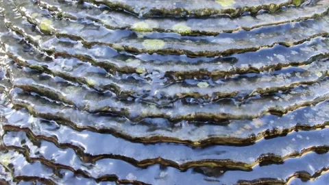 Water Rolling of a Multiple Small Elements Stock Footage 134889863