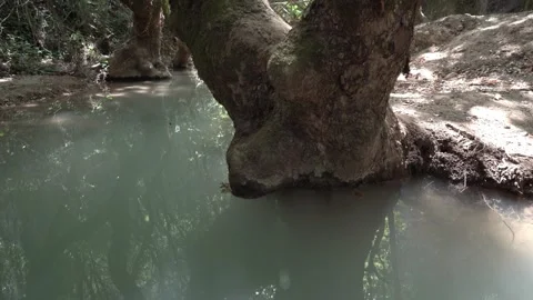 Water rolling at the river in the forest Stock-Footage 344603257