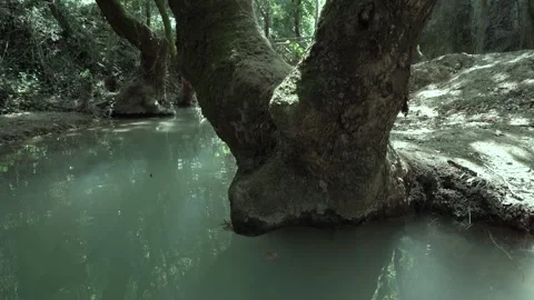 Water rolling at the river in the forest Stock-Footage 344603269