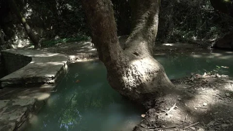 Water rolling at the river in the forest Stock-Footage 344603286