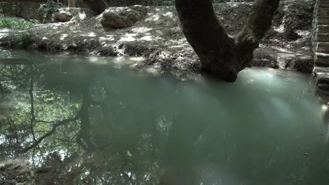 Water rolling at the river in the forest Stock-Footage 344603383