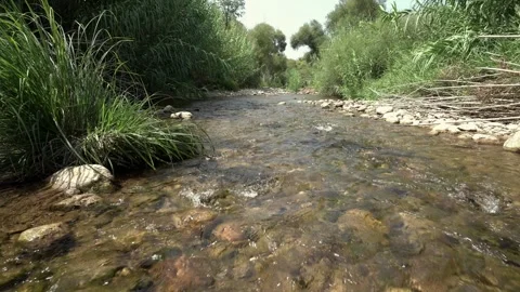 Water rolling at the river in the forest Stock-Footage 344603468