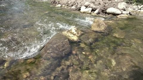 Water rolling at the river in the forest Stock-Footage 344603481