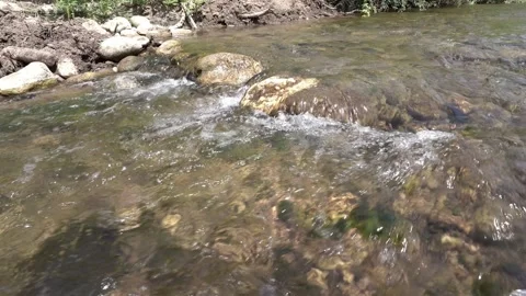Water rolling at the river in the forest Stock-Footage 344603496