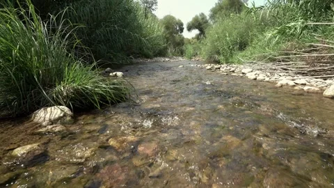 Water rolling at the river in the forest Stock-Footage 344603547