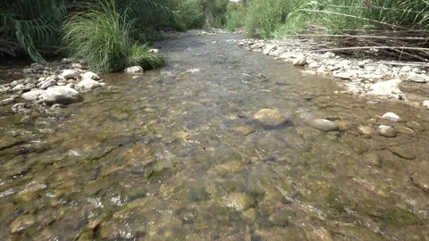 Water rolling at the river in the forest Stock-Footage 344603558