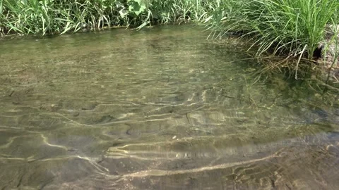 Water rolling at the river in the forest Stock-Footage 344603590