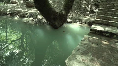Water rolling at the river in the forest with natural sound Stock-Footage 344603386