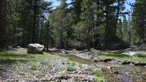Water running after snow melt near Tiago Pass, Yosemite National Park, USA Stock Footage 319533150
