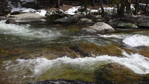 Water running after snow melt near Tiago Pass, Yosemite National Park, USA Stock Footage 319576512
