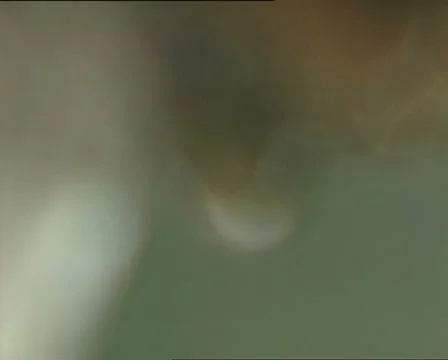WATER running and drop defocus AUDIO Video stock 11463889
