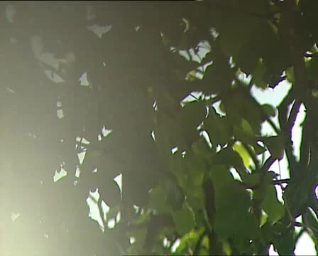 WATER running and drop falling rack focus AUDIO Video stock 11464062