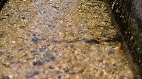 Water running - Canal Stock Footage 78197028