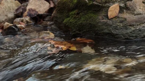 Water running down a calm stream Stock Footage 82209754