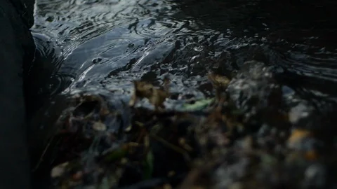 Water Running Down Dirty Gutter Stock-Footage 118468569