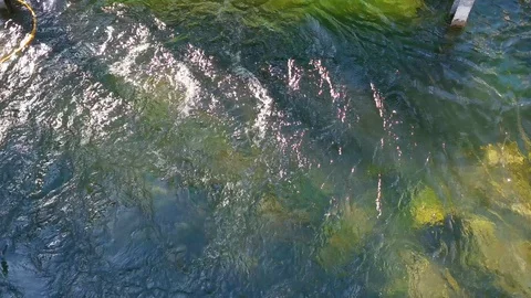 Water running down a river with green and blue color Stock Footage 129878130