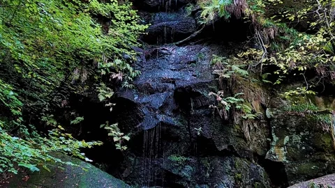 Water running down a rock-face in autumn Stock Footage 164061051