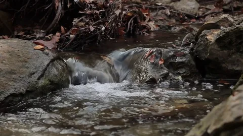 Water running down a small stream with natural sound Stock Footage 82210428