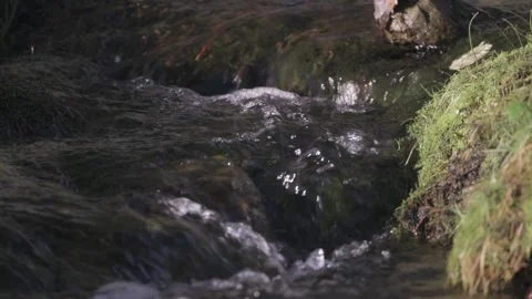 Water running down softly a small stream with green grass at side. Close up. Vídeos de archivo 248330745