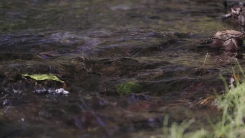 Water running down softly a small stream with green leaves at bottom. Close up. 스톡 동영상 248330755