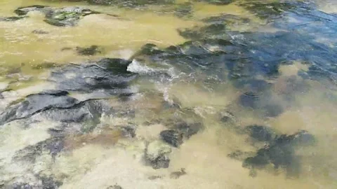 Water running down a stretch of a stream Stock Footage 139934657