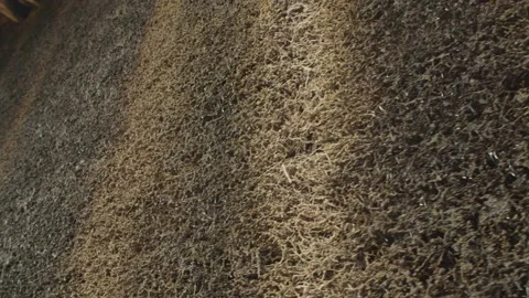 Water Running Down Wall Stock Footage 166142871